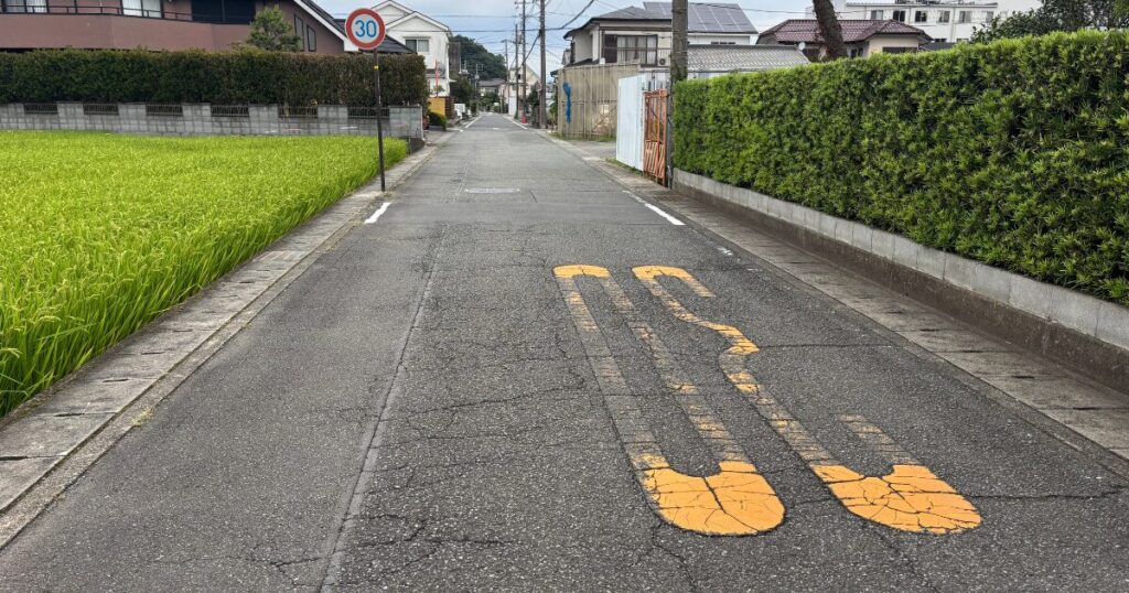 30km/hの速度標識と路面標示がある住宅街の道路