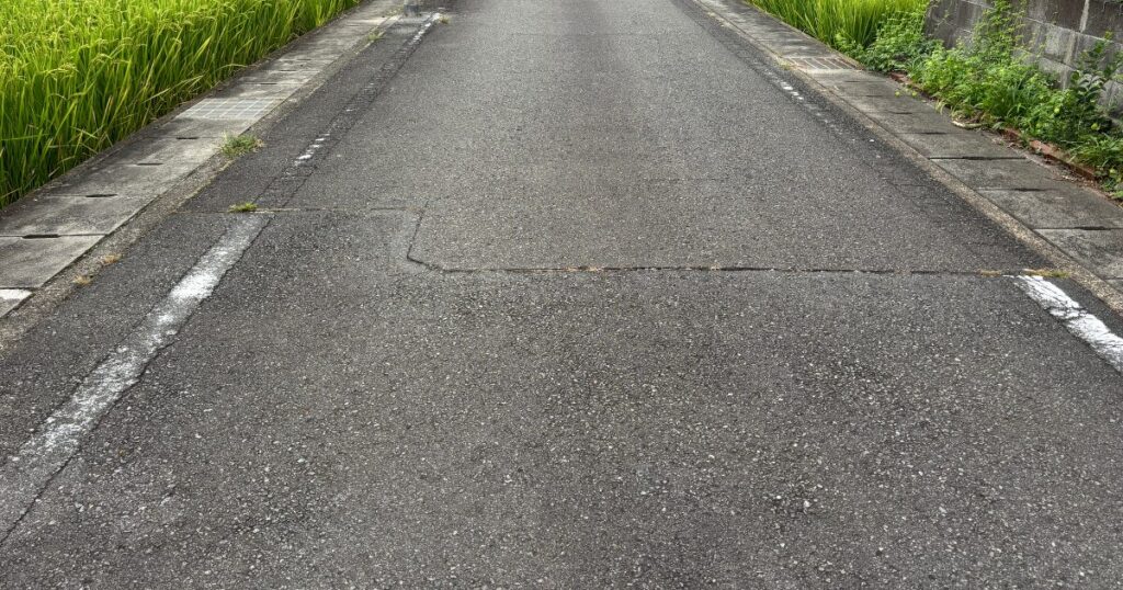 中央線がなく、両側に外側線だけが引かれた田んぼ沿いの道路